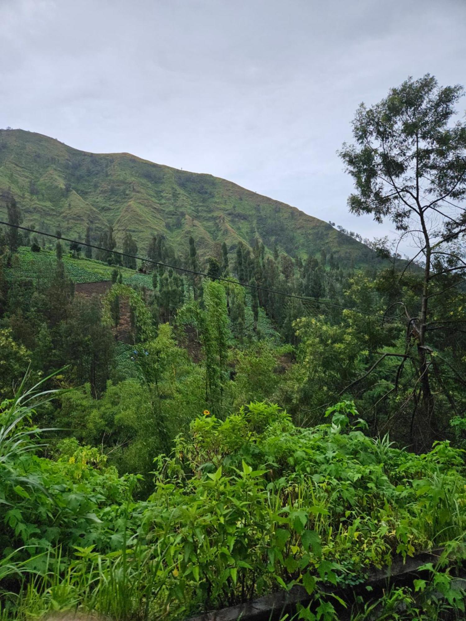 Arum Bromo Villas Ngadisari Bagian luar foto